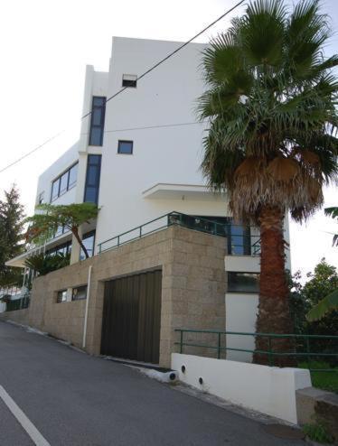 Hotel O Cortico Sever do Vouga Dış mekan fotoğraf